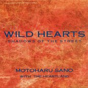 シングル「WILD HEARTS」ジャケット