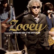 Zooey アートワーク