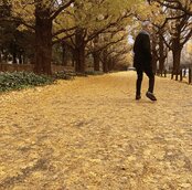 「或る秋の日」 アートワーク